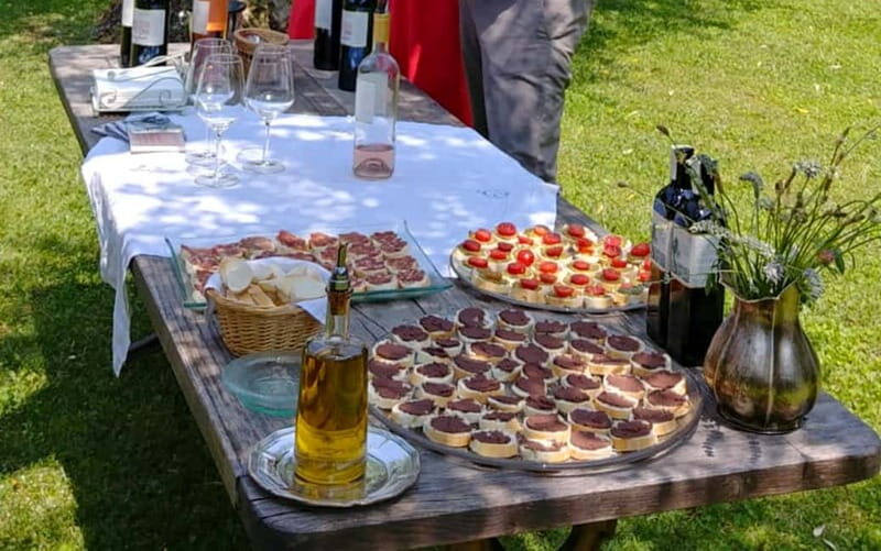 San Felice del Benaco: Vineyard Tour with Wine Tasting - Tasting & Culinary Highlights
