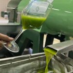 San Felice: Happy Hour in the Oil Mill with guided visit and tasting - Who Should Consider This Experience?