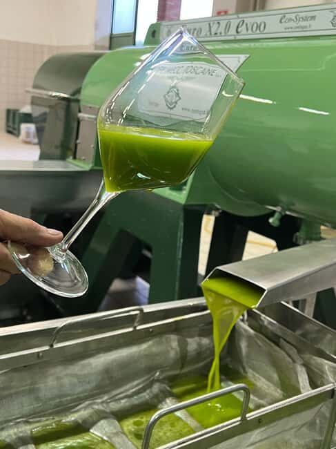 San Felice: Happy Hour in the Oil Mill with guided visit and tasting - Who Should Consider This Experience?