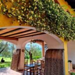 San Felice: Olive Oil Tasting with local food on Garda Hills - A Detailed Breakdown of the Itinerary