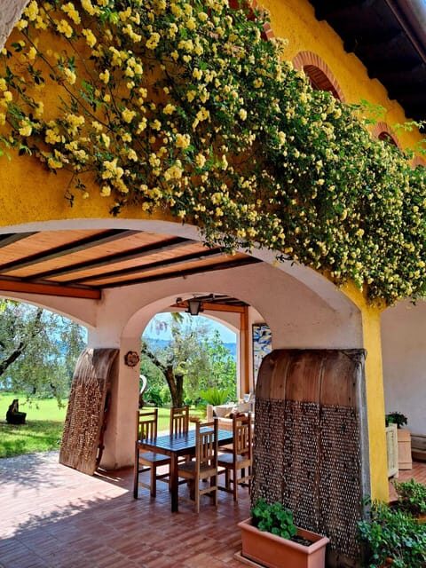 San Felice: Olive Oil Tasting with local food on Garda Hills - A Detailed Breakdown of the Itinerary