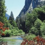 San Francisco: 2-Day Tour to Los Angeles with Parks - The Value of This Tour