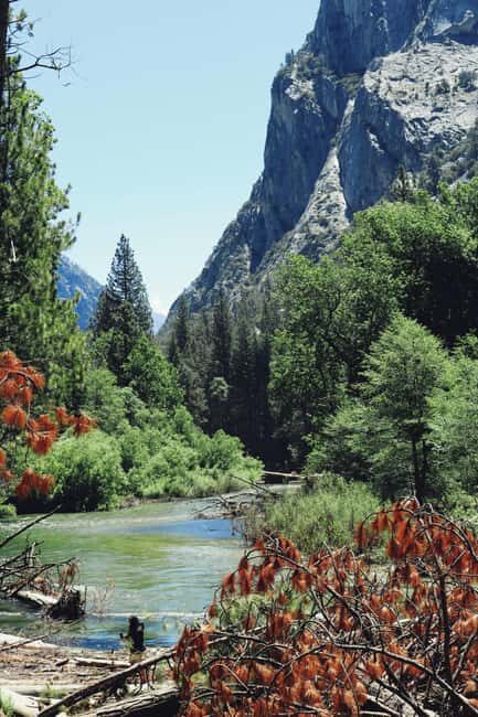 San Francisco: 2-Day Tour to Los Angeles with Parks - The Value of This Tour