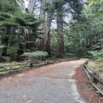 San Francisco: Alcatraz, Muir Woods and Sausalito Day Tour - Transportation and Comfort