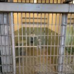 San Francisco: Alcatraz Tour with Muir Woods and Sausalito - Key Points