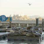 San Francisco CityPASS®: Save 46% at 4 Top Attractions - FAQ