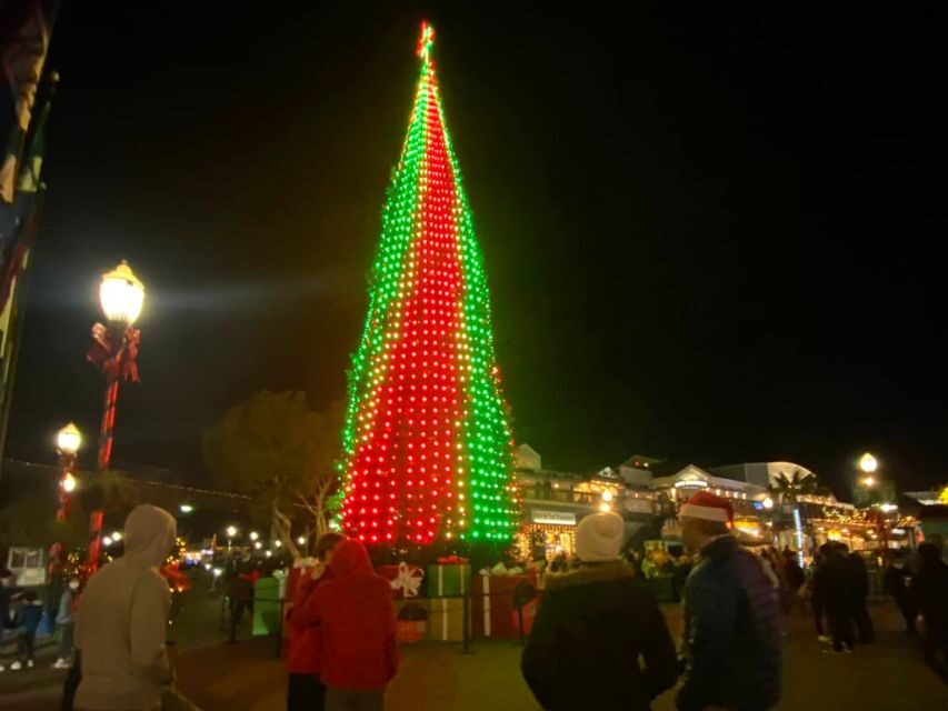 San Francisco: Holiday Lights Private Group Jeep Tour - Who Should Consider This Tour?