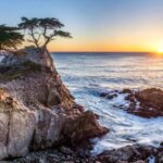 San Francisco: Monterey and Carmel Day Tour - Transportation and Tour Quality