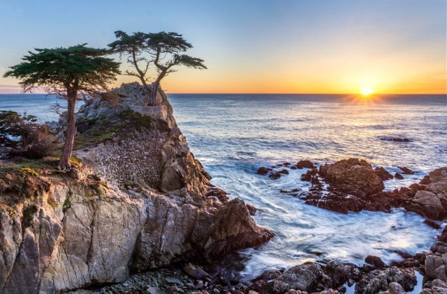 San Francisco: Monterey and Carmel Day Tour - Transportation and Tour Quality