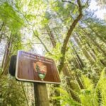 San Francisco: Muir Woods and Sausalito Experience - Who Is This Tour Best For?