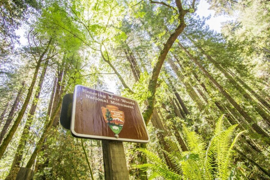 San Francisco: Muir Woods and Sausalito Experience - Who Is This Tour Best For?