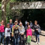 San Francisco: Muir Woods and Sausalito Small Group Tour - The Itinerary and What to Expect