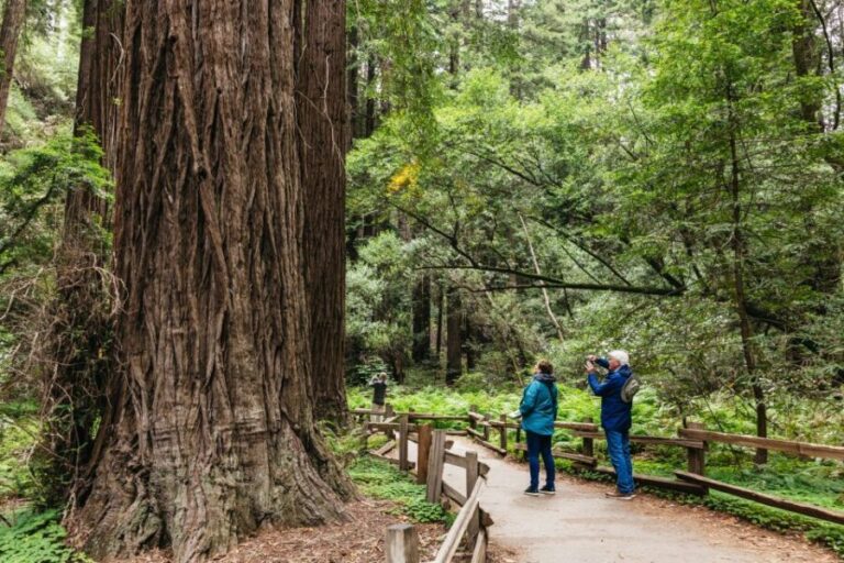 San Francisco: Muir Woods, Napa & Sonoma Valley Wine Tour - Authentic Experiences That Shine