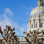 San Francisco: Muir Woods, San Francisco and Sausalito Tour - Who Will Love This Tour?