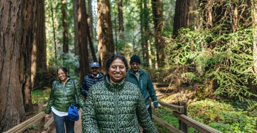 San Francisco: Muir Woods, Sausalito and SF Bay Cruise - Analyzing the Value and Experience