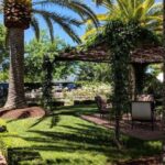 San Francisco: Napa and Sonoma Valley Private Wine Tour - Charming Towns and Additional Experiences