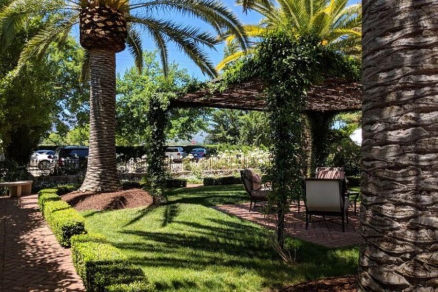 San Francisco: Napa and Sonoma Valley Private Wine Tour - Charming Towns and Additional Experiences