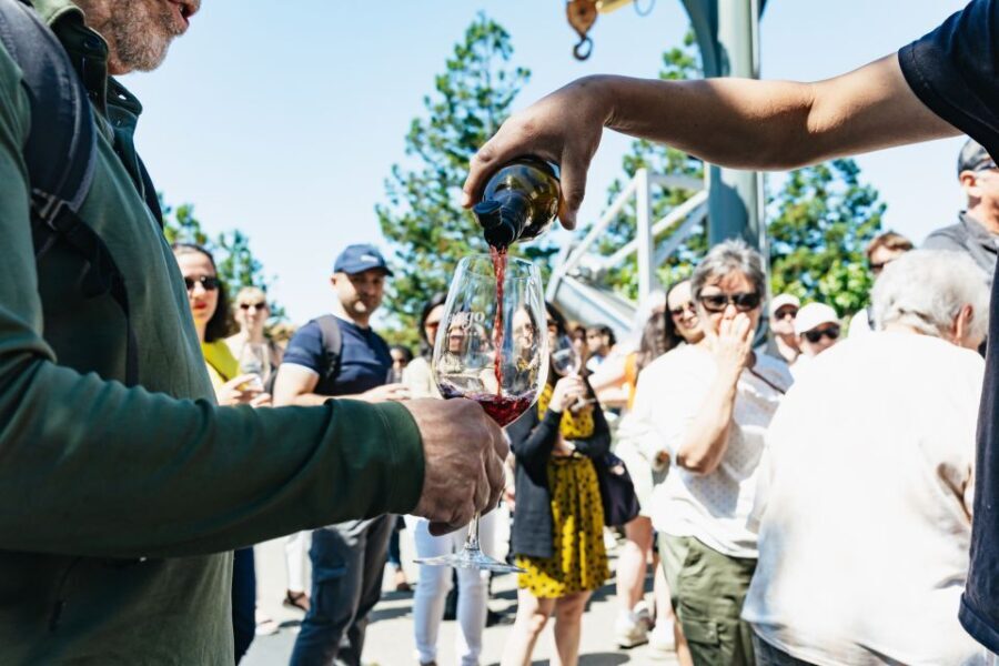 San Francisco: Napa and Sonoma Valley Wine Tour - Itinerary Breakdown: What You’ll Experience
