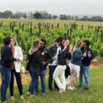 San Francisco: Napa Valley Half-Day Wine Tour with Tastings - Transportation and Group Size