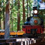 San Francisco: Redwood Forest & Santa Cruz Harbor 1-Day Trip - Practical Details and What to Expect