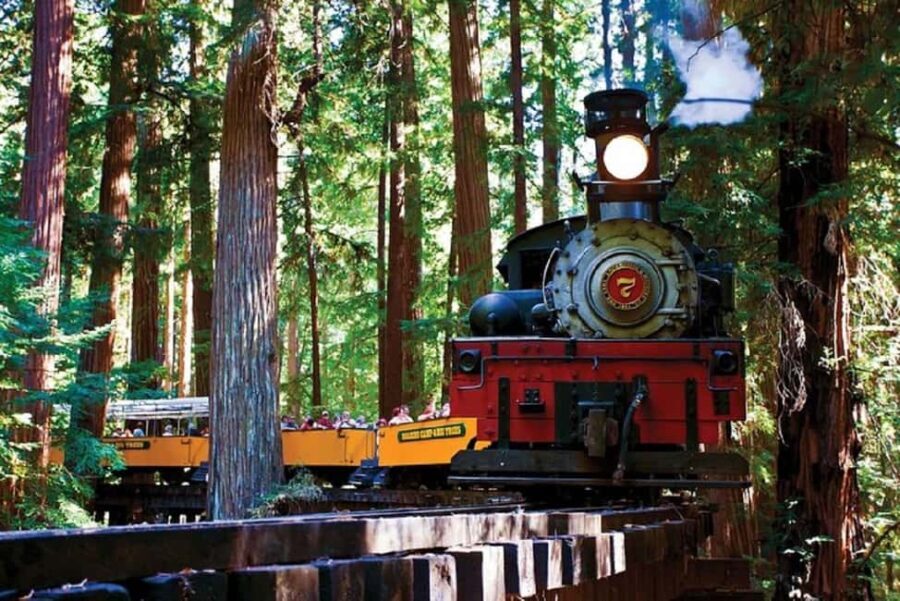 San Francisco: Redwood Forest & Santa Cruz Harbor 1-Day Trip - Practical Details and What to Expect