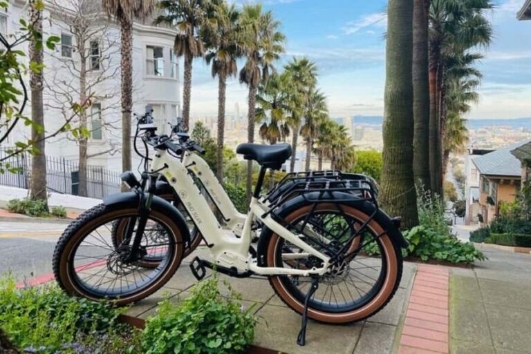 San Francisco: Summer of Love Guided eBike Tour - Value and Practicalities