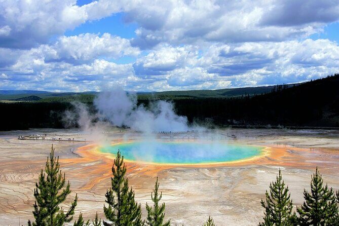 San Francisco to Yellowstone and Las Vegas 7-Day Tour - Overall Value and Experience
