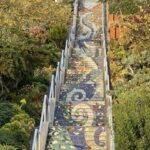 San Francisco's Wild Side, Ecotour With Meteorologist - FAQ