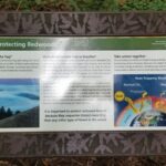 San Fransico: Muir Woods & Marin Headlands Private Tour - Practicalities and Value