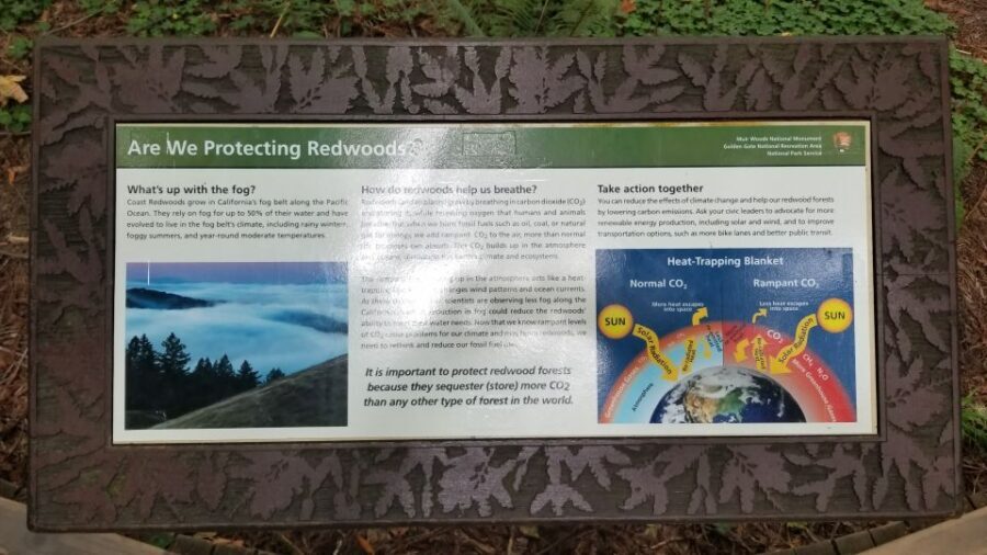 San Fransico: Muir Woods & Marin Headlands Private Tour - Practicalities and Value
