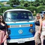 San Fransisco: Vintage VW Bus Wine Country Tour Small Group - Who Will Love This Tour?