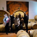 San Gimignano and Vernaccia Wine Tour with Lunch at Farm - Who Is This Tour Best For?