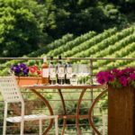 San Gimignano: Chianti wine tasting and lunch - Frequently Asked Questions