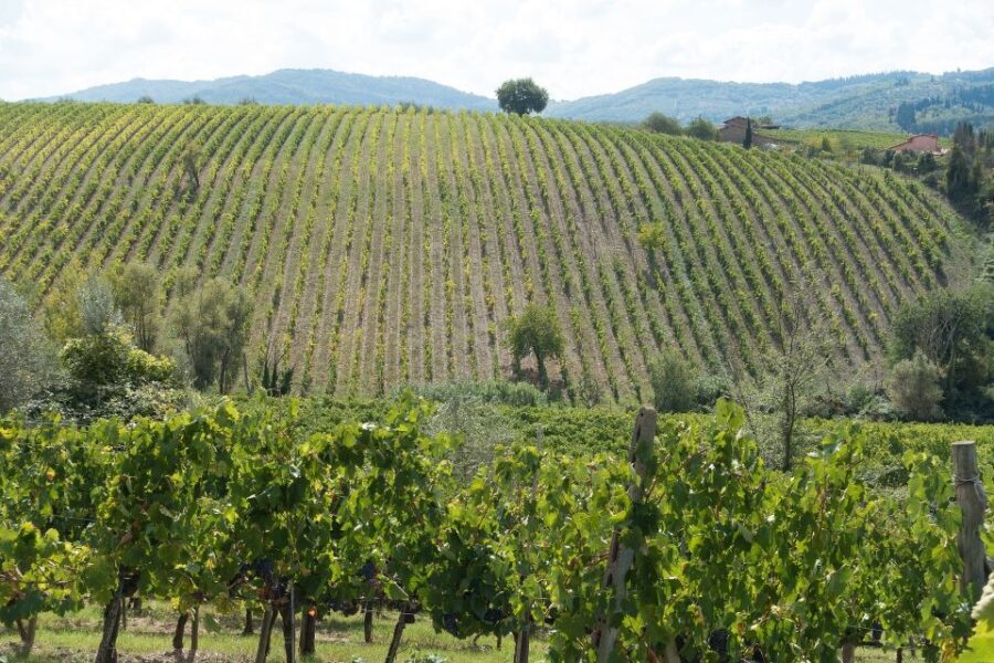 San Gimignano: Chianti wine tasting experience - FAQ