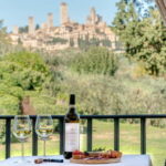 San Gimignano: Mini Wine Tour with Tuscan aperitif - Who Should Book This Tour?