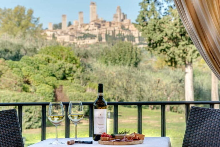 San Gimignano: Mini Wine Tour with Tuscan aperitif - Who Should Book This Tour?