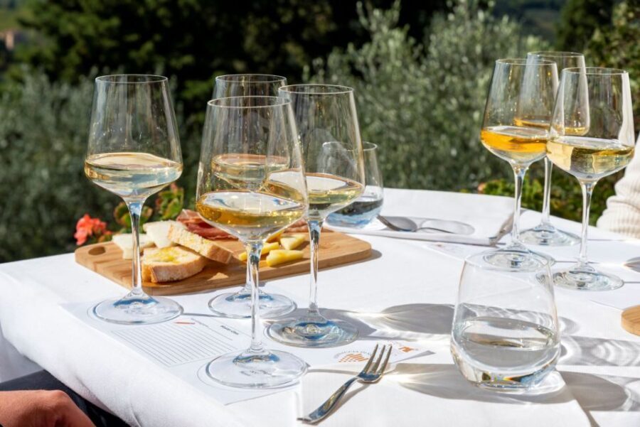 San Gimignano: Professional Wine Tasting Experience - Who Will Benefit Most?