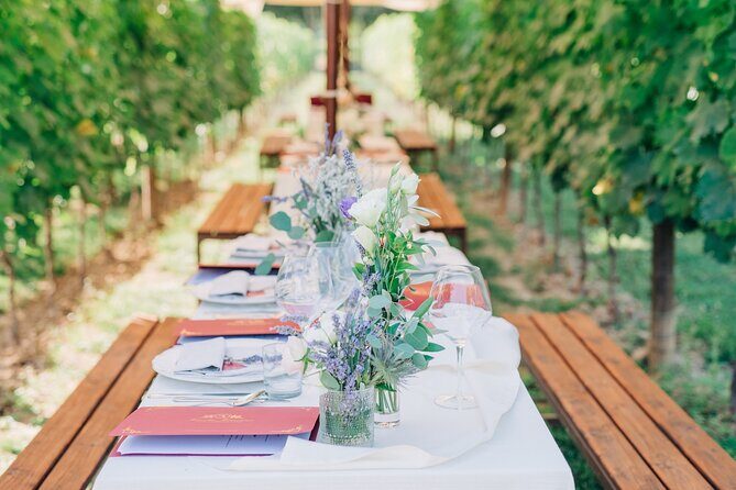 San Gimignano Romantic Dinner in the Vineyards - The Experience: A Deep Dive into the Tuscan Night