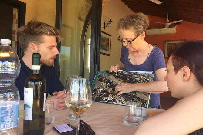 San Gimignano, Saffron and Vernaccia Wine from Florence - The Experience in Context