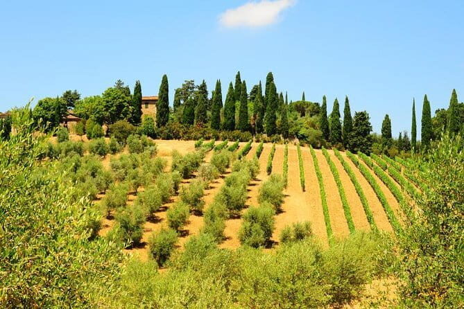 San Gimignano, Siena, Monteriggioni: Fully Escorted Tour, Lunch & Wine Tasting - Authentic Experiences Highlighted by Travelers