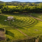 San Gimignano: Tasting of Tuscan Wines and Cheeses - A Deep Dive Into the Experience