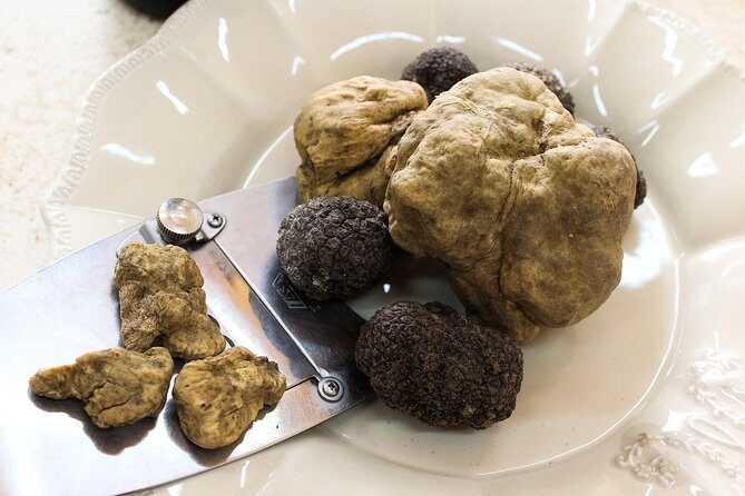 San Gimignano Truffle Hunt & Truffle Cooking Class - FAQ