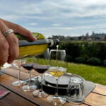 San Gimignano: Wine, Oil, Cheese & Balsamic Tasting - A Closer Look at the Experience