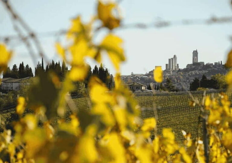 San Gimignano: Wine Tasting Experience at Il Colombaio - Exploring the Experience in Detail