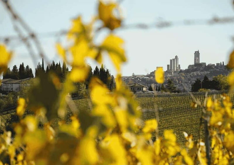 San Gimignano: Wine Tasting Experience at Il Colombaio - Exploring the Experience in Detail