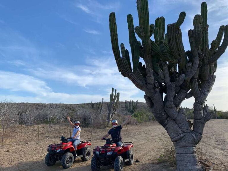 San José del Cabo: 2-Hour ATV Tour - The Practicalities: What’s Included and What to Know