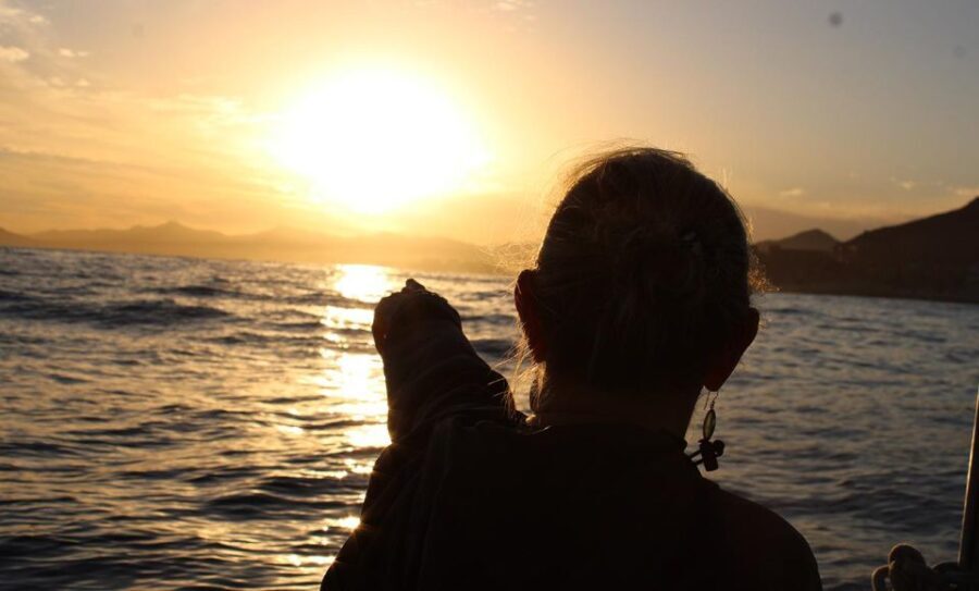 San Jose del Cabo Sunset Whale Watching - The Sum Up: Is It Worth Your Time?