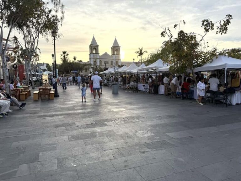 San José del Cabo: Thursday Night Art Walk Tour - What’s included and what’s not