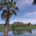 SAN JOSE GOLDEN - Exploring the Tours Itinerary in Detail