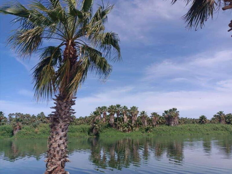 SAN JOSE GOLDEN - Exploring the Tours Itinerary in Detail